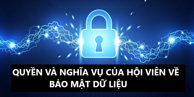 Thành viên thực hiện nghiêm túc quyền và nghĩa vụ 
