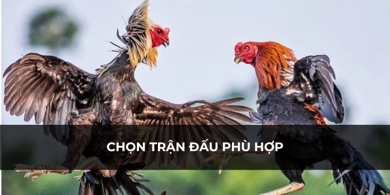 Người chơi lựa chọn trận đấu để cược