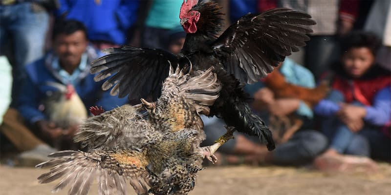 3 kèo cược thú vị hứa hẹn đem tới trải nghiệm tuyệt vời 