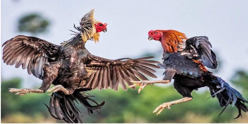 Sảnh 169 mở ra cơ hội trúng thưởng lớn 