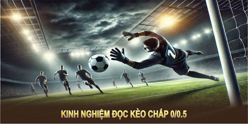 Kinh nghiệm đọc kèo chấp 0/0.5 là gì để luôn tự tin