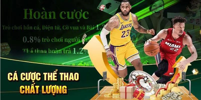 Chiến thuật các độ thể thao hiệu quả dành cho bet thủ